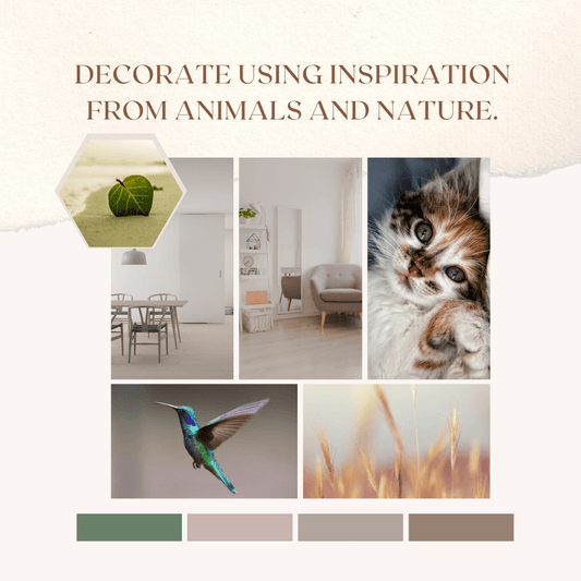 Decorate using Inspiration from Animals and Nature. - 98 Types Studio