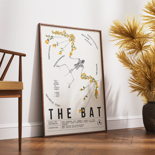 Vintage bat dark academia natural history print UK — Chiroptera botanical archive wall art 260gsm printed in England Camden Market