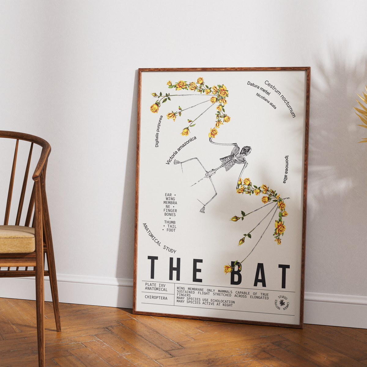 Vintage bat dark academia natural history print UK — Chiroptera botanical archive wall art 260gsm printed in England Camden Market