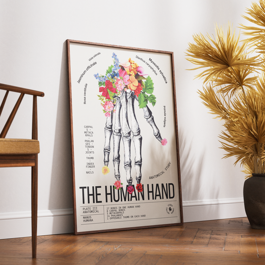 Vintage hand anatomy print UK — Manus Humana botanical archive dark academia wall art 260gsm printed in England Camden Market