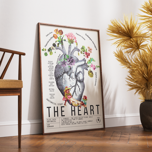 Vintage anatomical heart print UK — Cor Humanum botanical archive dark academia wall art 260gsm museum-grade printed in England Camden Market