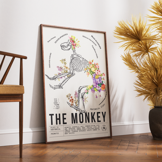 Vintage monkey natural history print UK — Primates botanical archive wall art 260gsm printed in England Camden Market