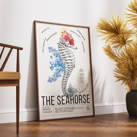 Vintage seahorse natural history print UK — Hippocampus botanical archive wall art 260gsm printed in England Camden Market