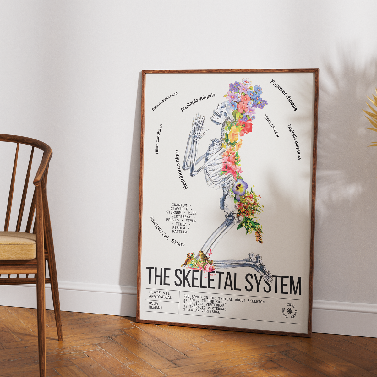 Vintage skeleton anatomy print UK — Ossa Humani Corporis botanical archive dark academia wall art 260gsm printed in England