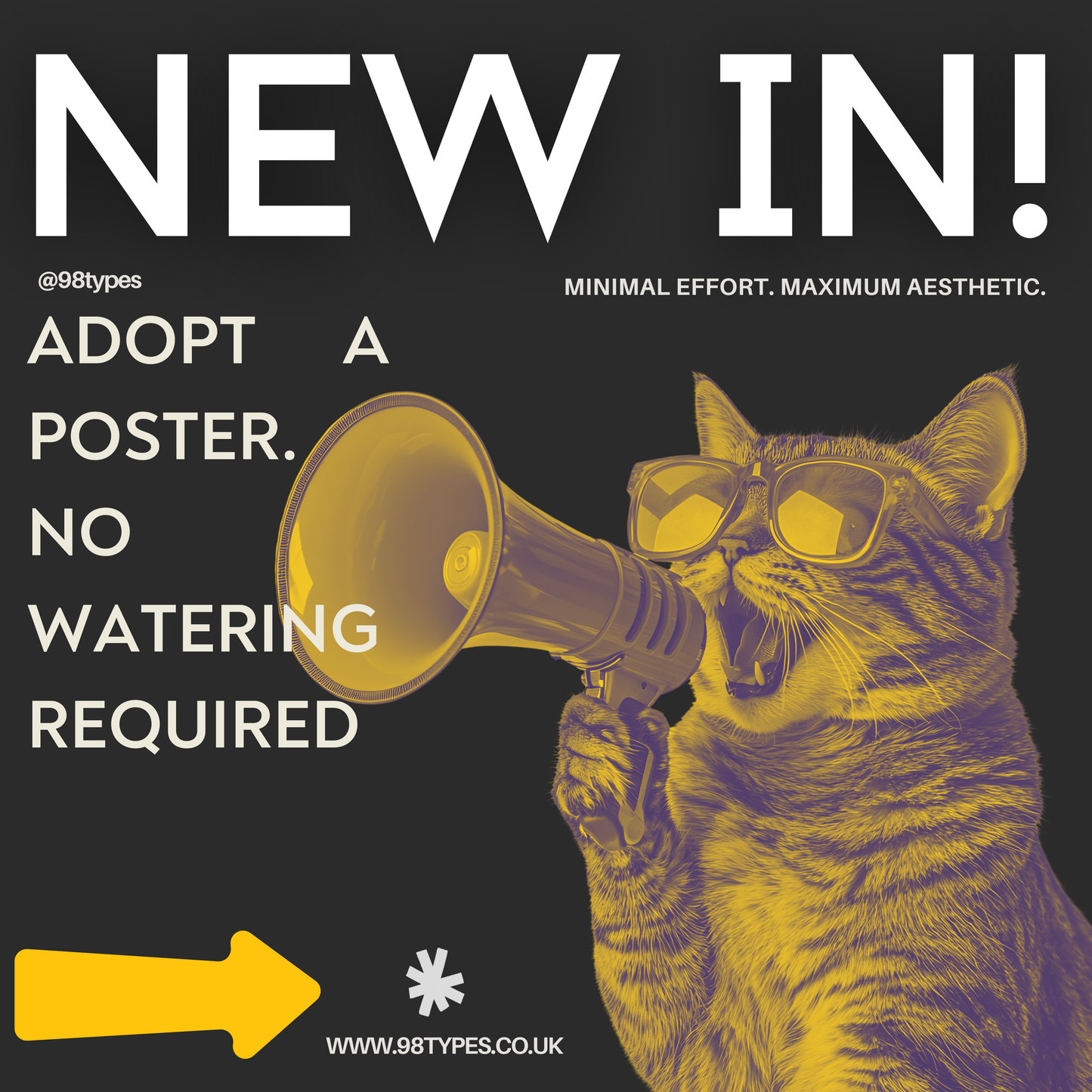 Howl’s Moving Castle (2004) Movies Poster