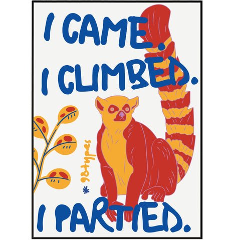 Lemur Aesthetic Posters - 98typesAesthetic Animals Poster