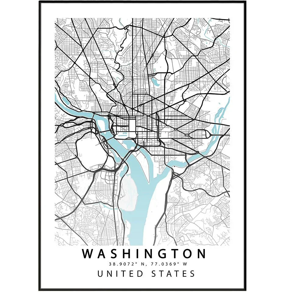 Washington, D.C Street Map Print - 98types