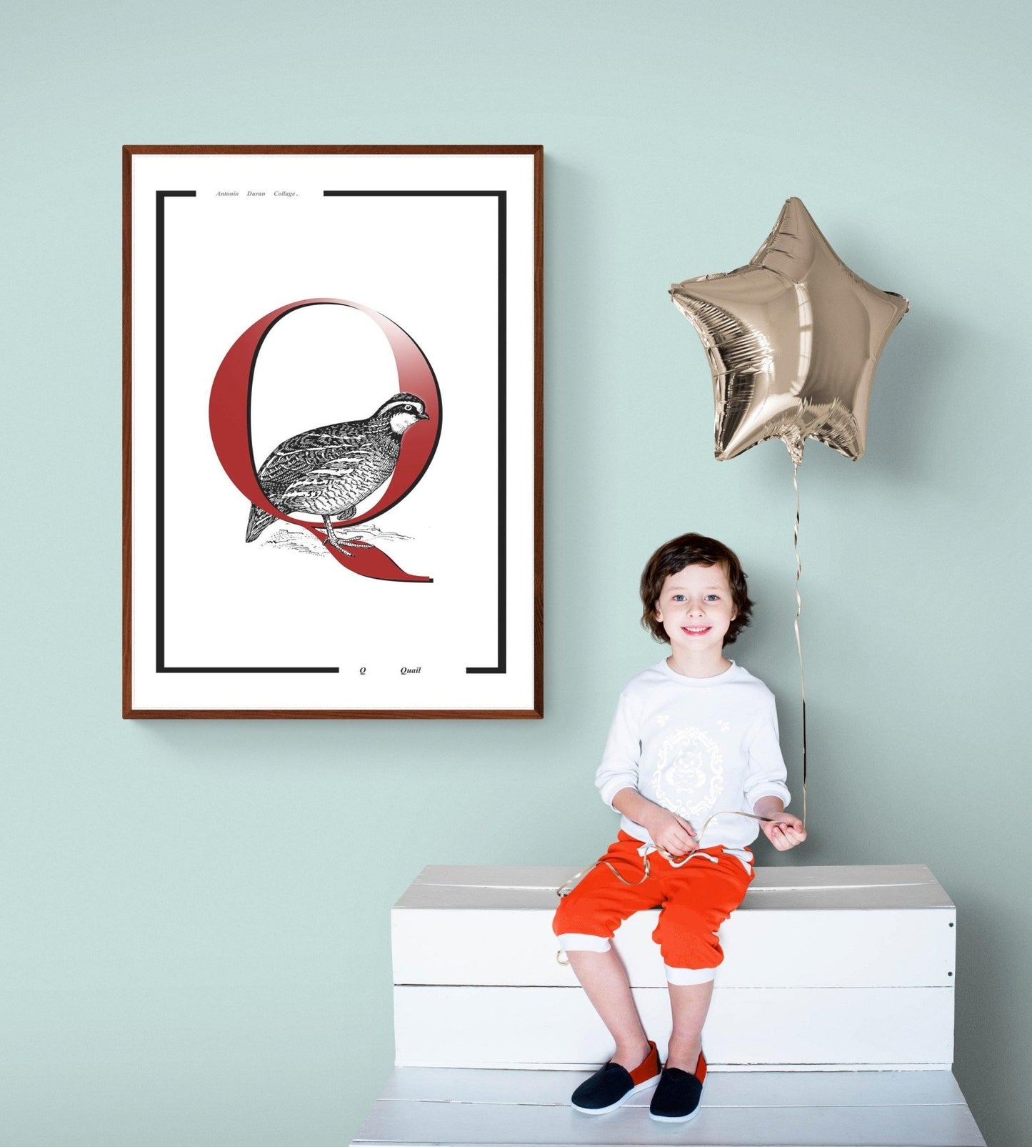 Quail Letter Q Print - 98typesAnimals Alphabet