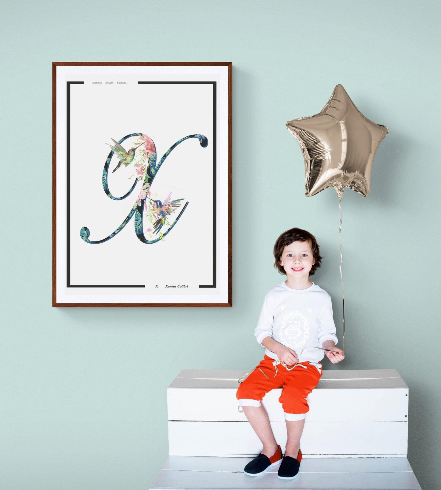 Xantus Colibri Alphabet Poster - 98typesAnimals Alphabet