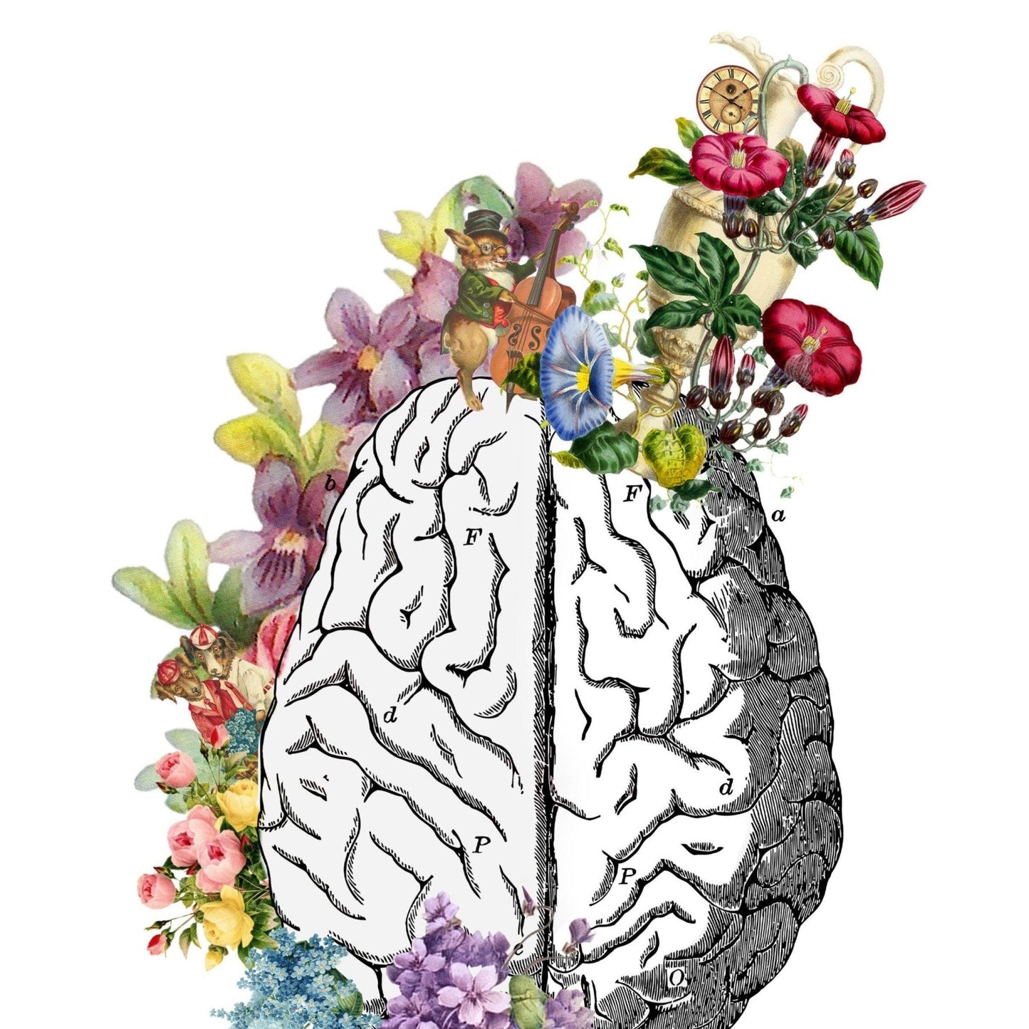 Anatomical Brain and Flowers Print - 98types