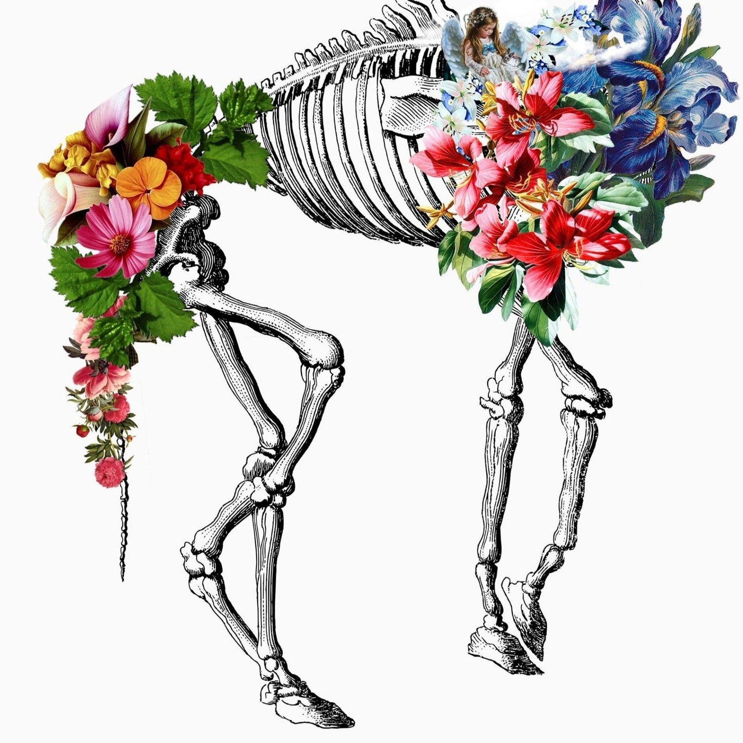Camel Skeleton Anatomical Flowers Print - 98types