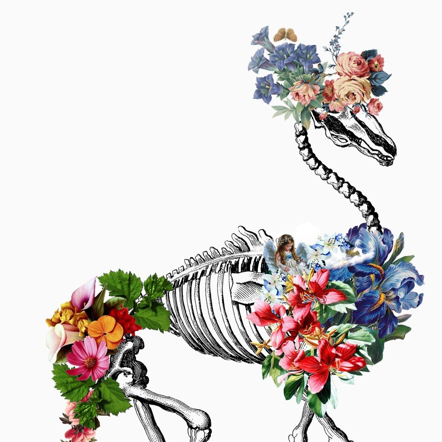 Camel Skeleton Anatomical Flowers Print - 98types