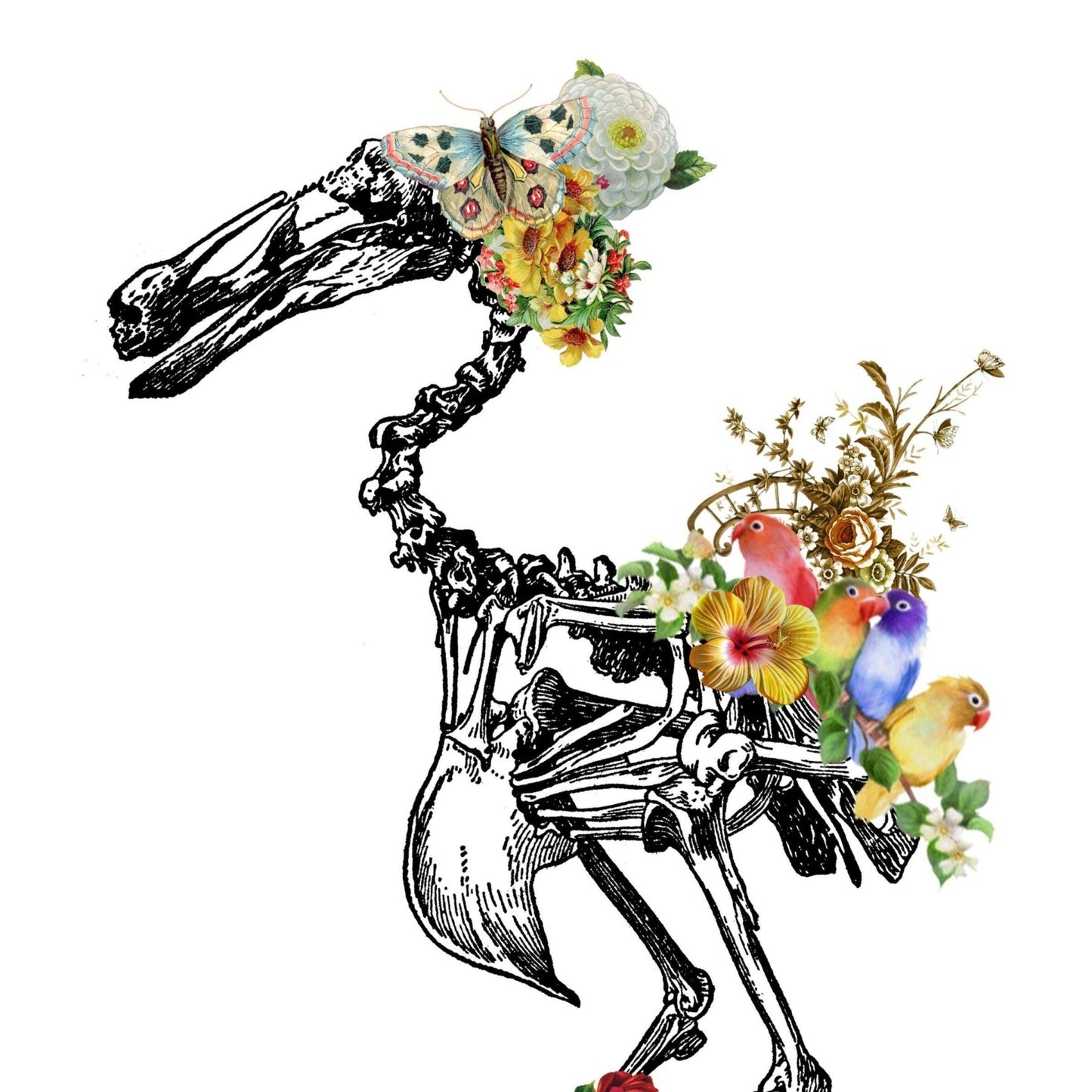 Duck Skeleton Anatomical Flowers Print - 98types