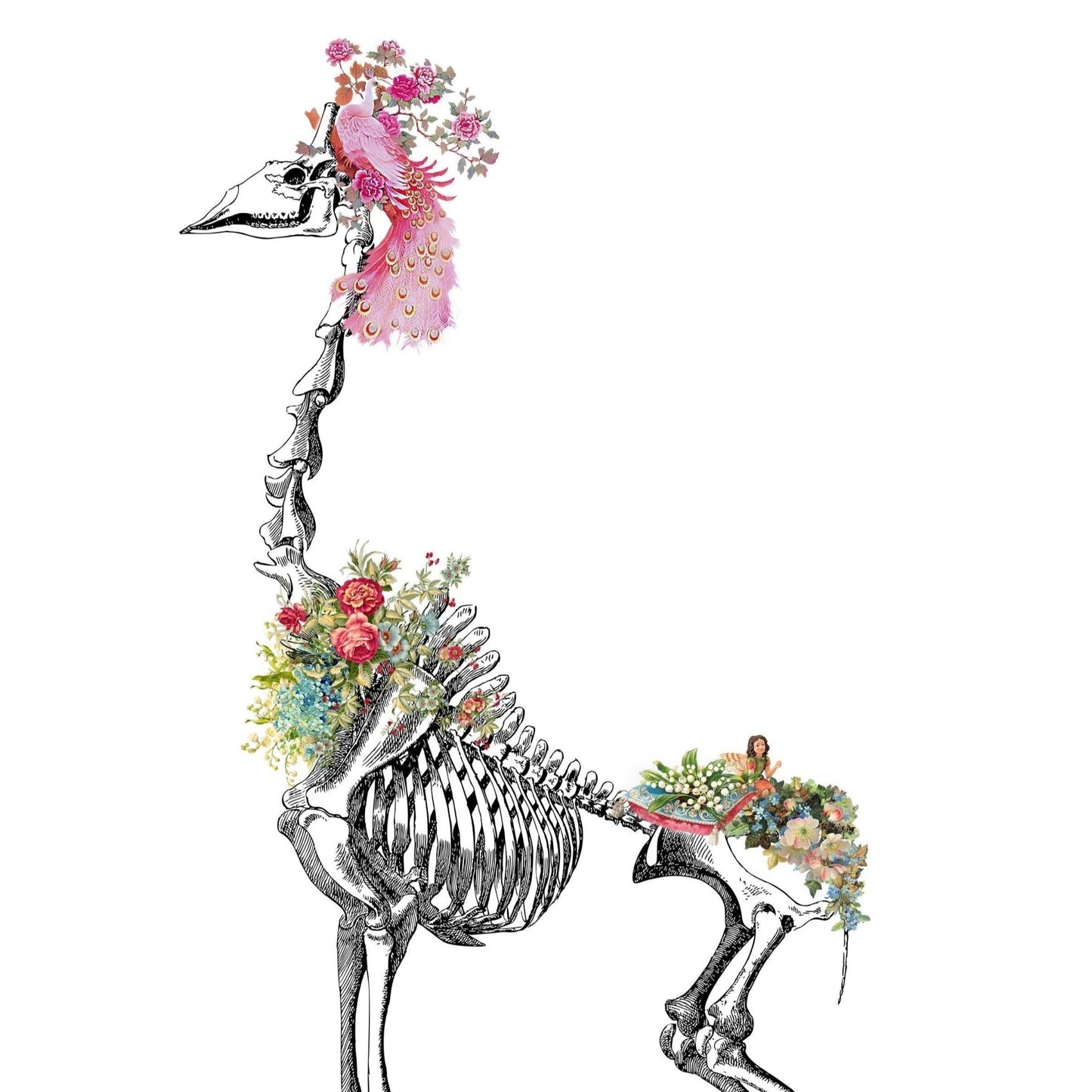 Giraffe Skeleton Anatomical Flowers Print - 98types