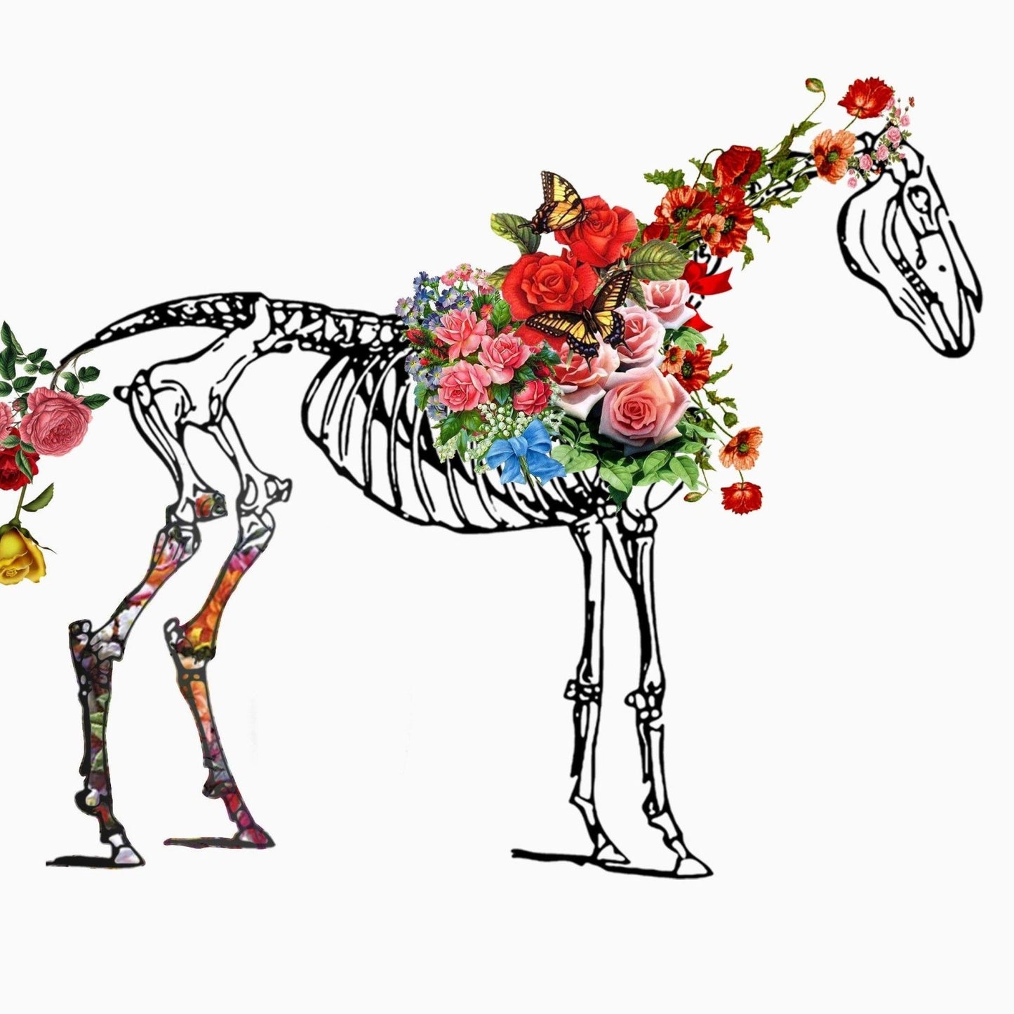 Horse Skeleton Anatomical Flowers Body Print - 98typesBotanical Art Prints