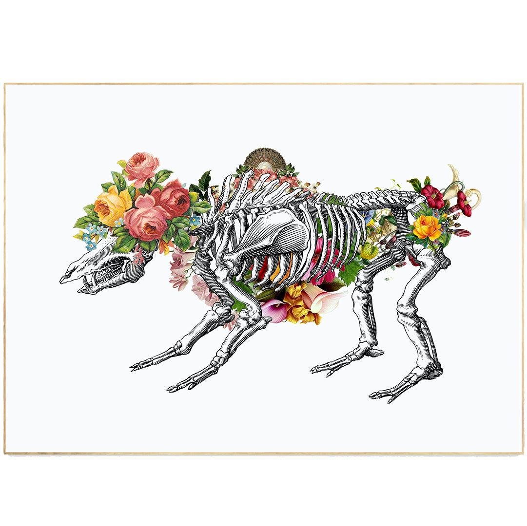 Lion Skeleton Anatomical Flowers Print - 98types
