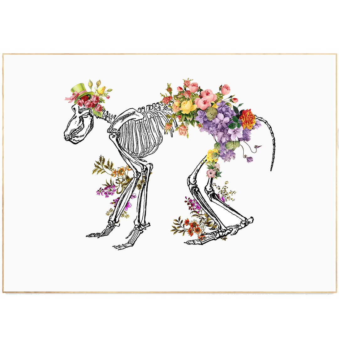 Monkey Skeleton Anatomical Body Print - 98types