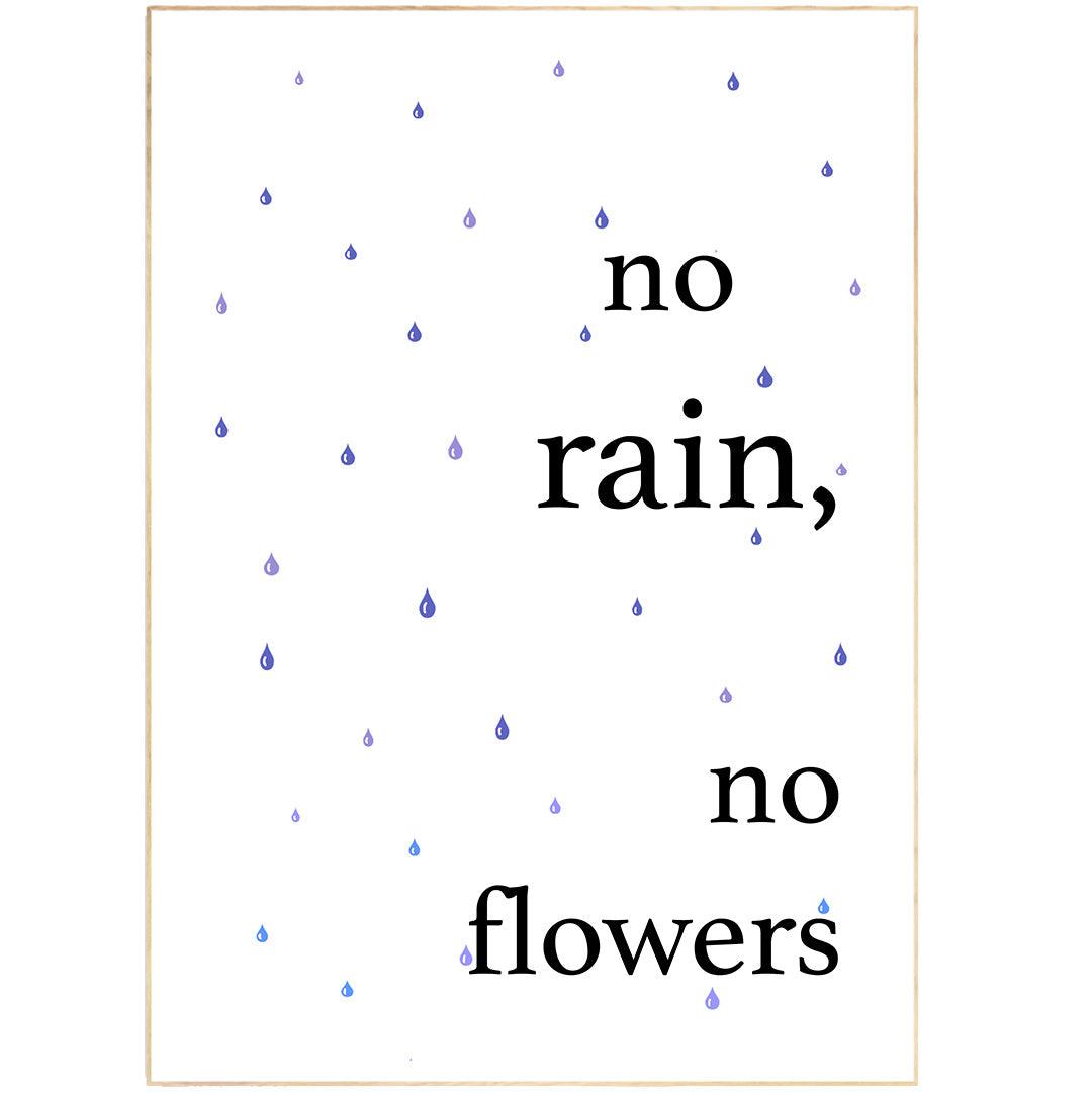 No Rain No Flowers Poster - 98types