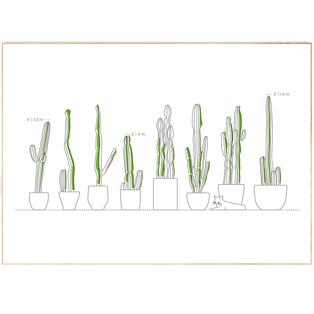 Plants types Line Art Print - 98types