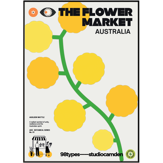 The Flower Market Australia Golden Wattle Acacia botanical poster print UK — national flower graphic wall art 260gsm printed in England Camden Market