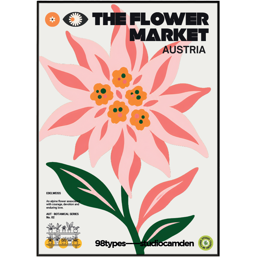 The Flower Market Austria Edelweiss botanical poster print UK — Alpine symbol Sound of Music Tyrolean wall art 260gsm printed in England Camden Market