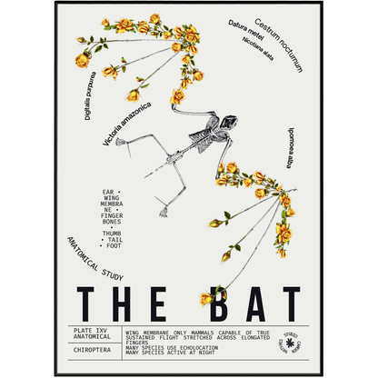 Vintage bat dark academia natural history print UK — Chiroptera botanical archive wall art 260gsm printed in England Camden Market
