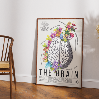 The Brain — Vintage Anatomical Brain Print