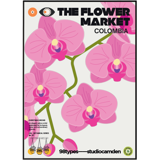 The Flower Market Colombia Christmas Orchid Cattleya trianae botanical poster print UK — national flower graphic wall art 260gsm printed in England Camden Market