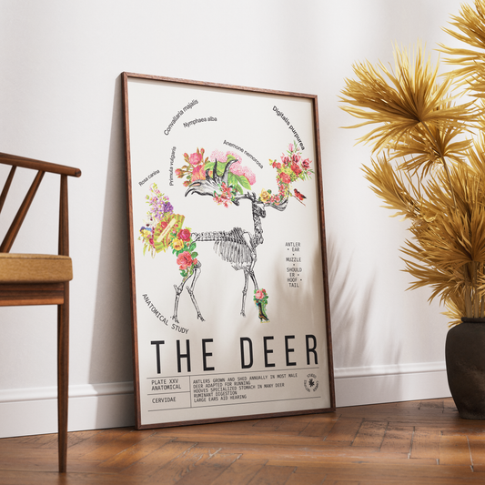 Vintage deer natural history print UK — Cervidae botanical archive wall art 260gsm printed in England Camden Market
