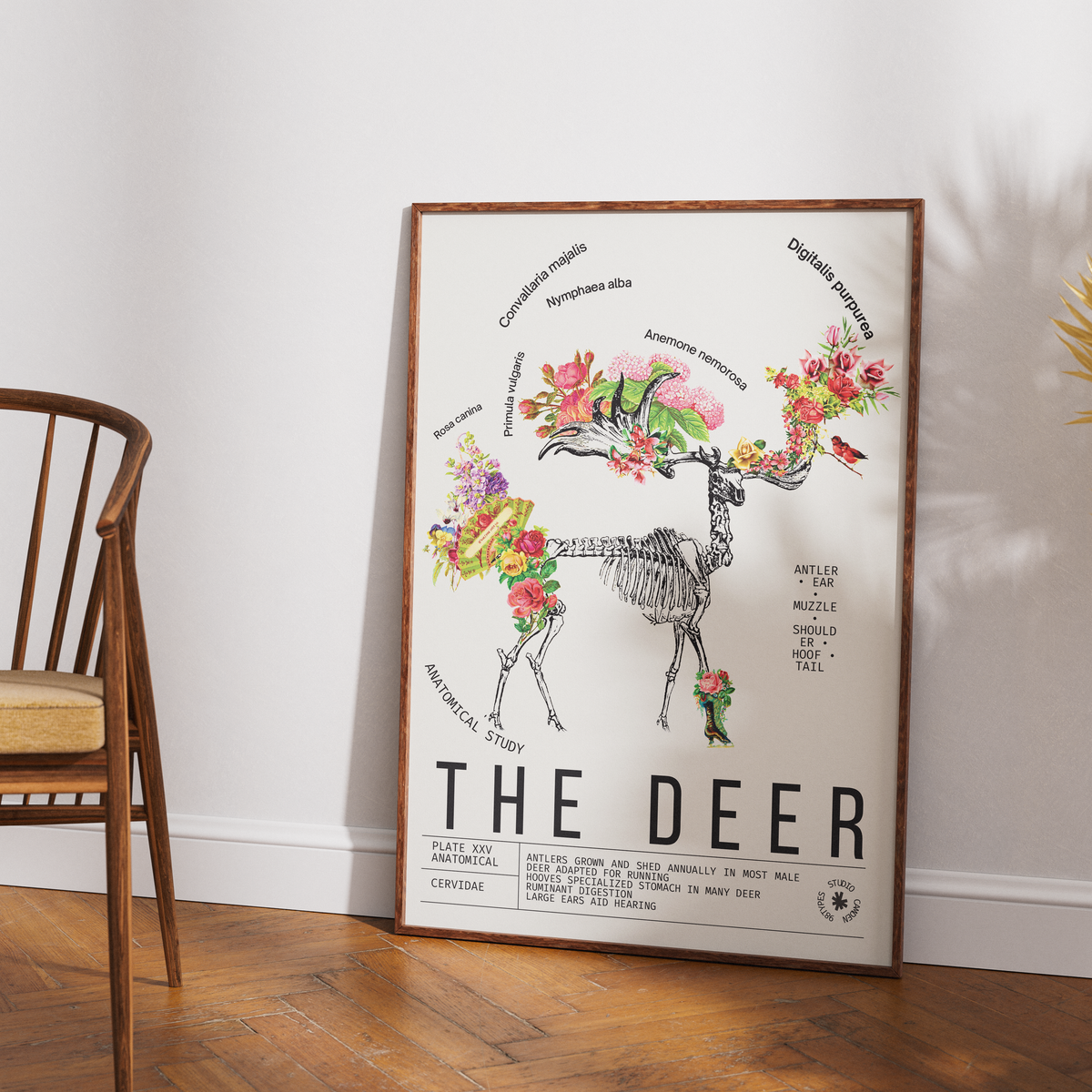 Vintage deer natural history print UK — Cervidae botanical archive wall art 260gsm printed in England Camden Market
