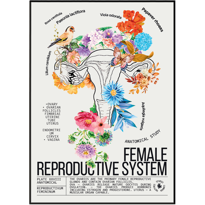 Vintage female reproductive system anatomy print UK — botanical archive dark academia wall art 260gsm printed in England Camden Market
