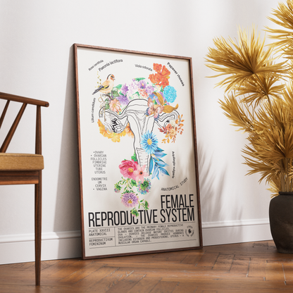 Vintage female reproductive system anatomy print UK — botanical archive dark academia wall art 260gsm printed in England Camden Market
