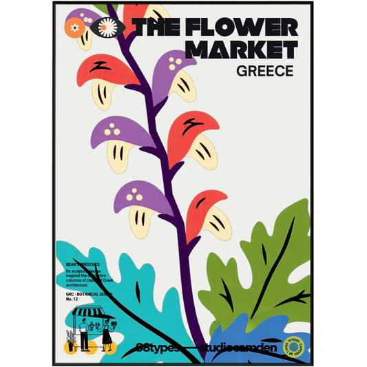 The Flower Market Greece Bears Breeches Acanthus botanical poster print UK — ancient Greek symbol graphic wall art 260gsm printed in England Camden Market
