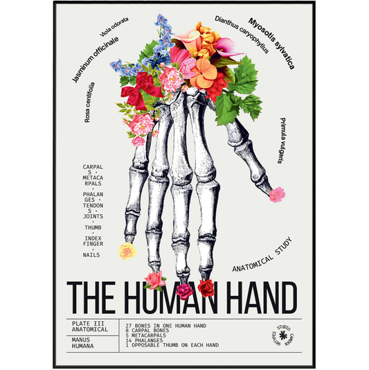 Vintage hand anatomy print UK — Manus Humana botanical archive dark academia wall art 260gsm printed in England Camden Market
