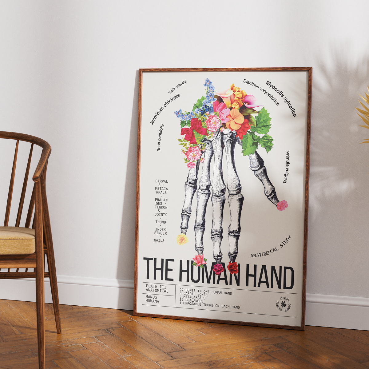 Vintage hand anatomy print UK — Manus Humana botanical archive dark academia wall art 260gsm printed in England Camden Market
