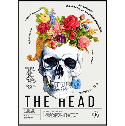 Vintage head skull anatomy print UK — Caput Humanum botanical archive dark academia wall art 260gsm printed in England Camden Market
