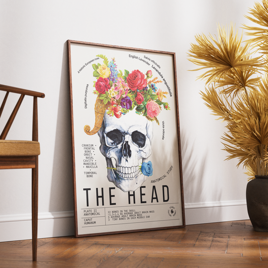 Vintage head skull anatomy print UK — Caput Humanum botanical archive dark academia wall art 260gsm printed in England Camden Market

