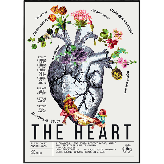 Vintage anatomical heart print UK — Cor Humanum botanical archive dark academia wall art 260gsm museum-grade printed in England Camden Market
