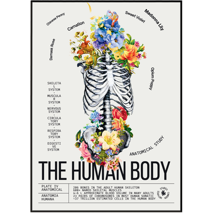 Vintage human body anatomy print UK — Anatomia Humana botanical archive dark academia wall art 260gsm museum-grade printed in England Camden Market