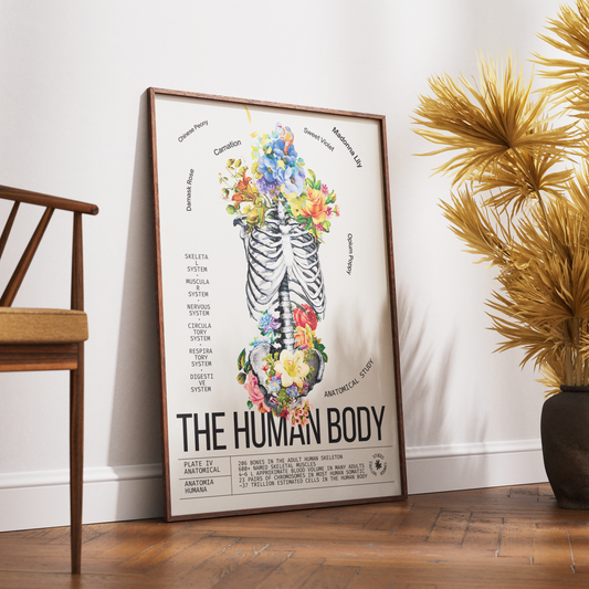 Vintage human body anatomy print UK — Anatomia Humana botanical archive dark academia wall art 260gsm museum-grade printed in England Camden Market