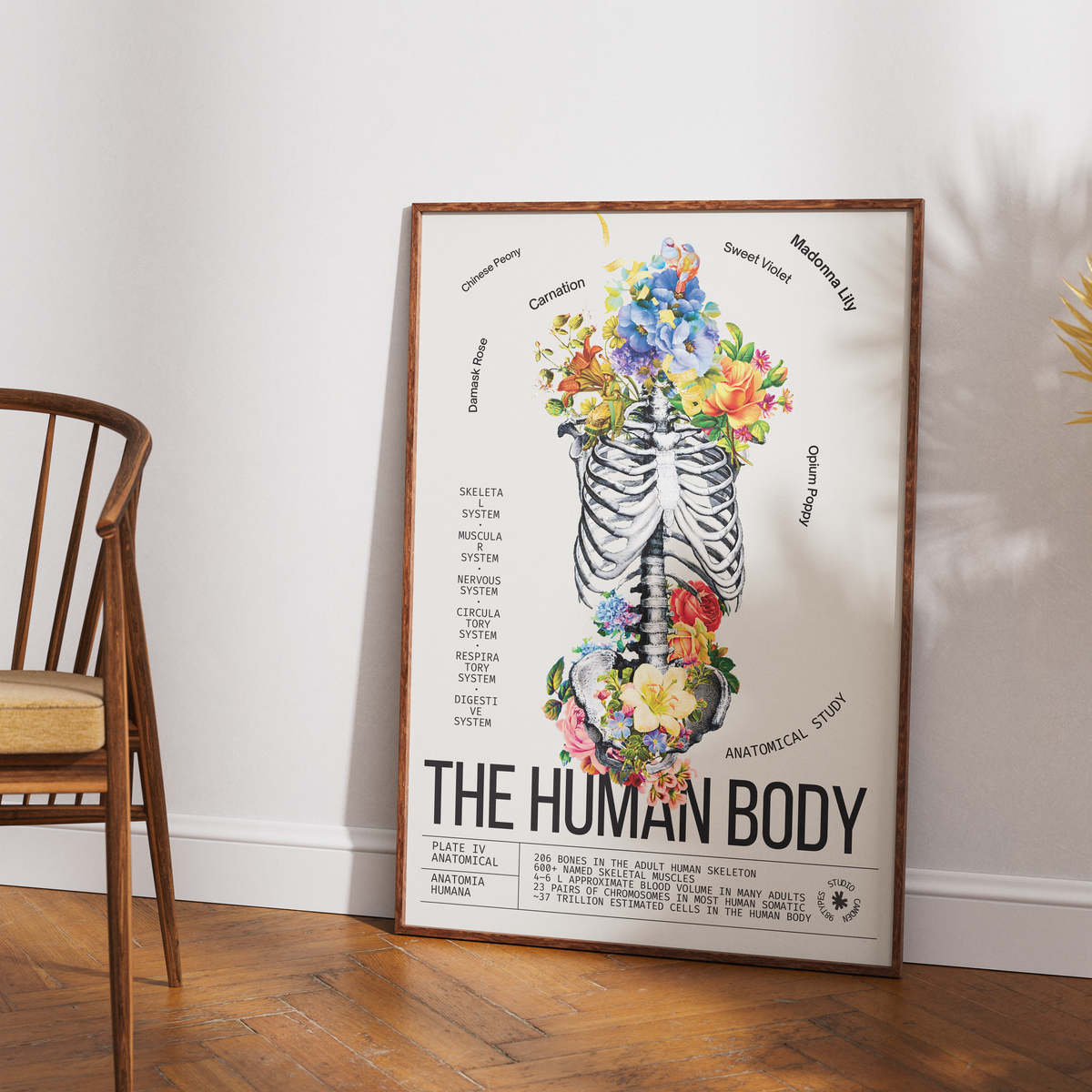Vintage human body anatomy print UK — Anatomia Humana botanical archive dark academia wall art 260gsm museum-grade printed in England Camden Market