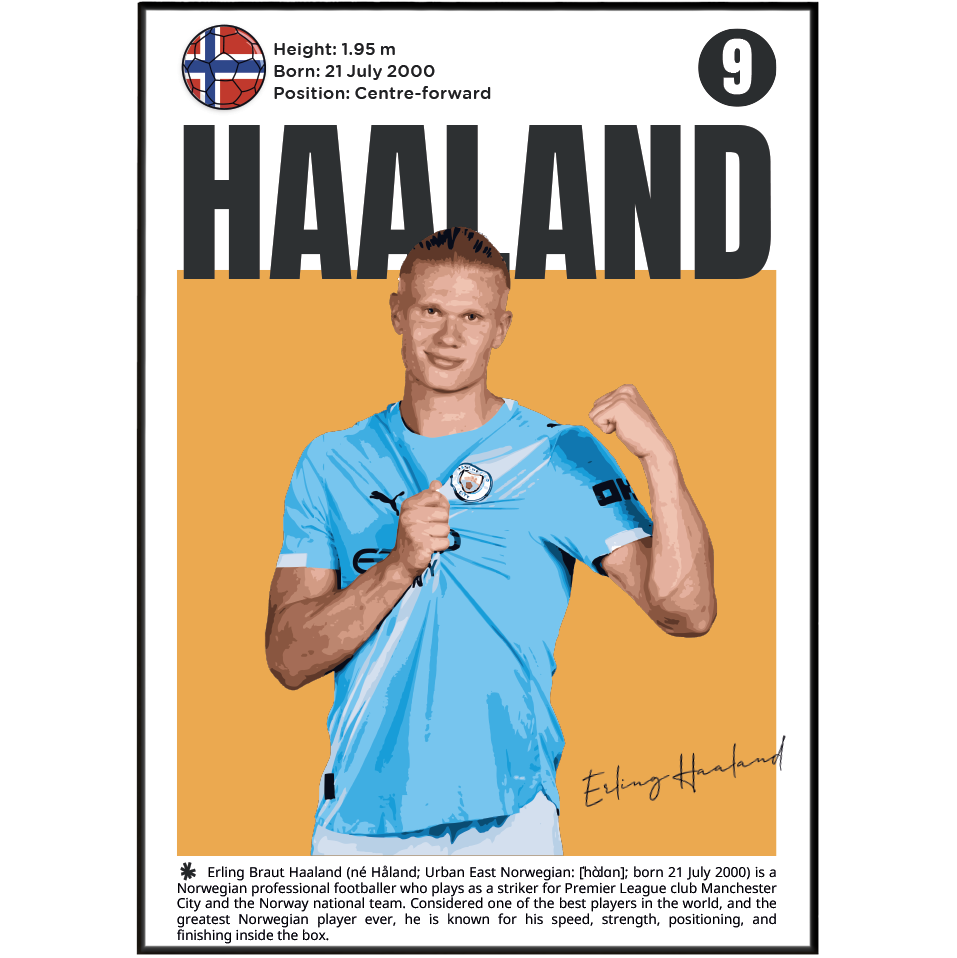 A vertical poster-style graphic featuring Erling Haaland in a light blue Manchester City jersey, with large black 'HAALAND' text, his profile photo, birth details, a round crest, and a signature. This is not a clean product shot of apparel and not a lifestyle scene; it functions as a printed graphic/poster design, so Scenery fits best because the depicted graphic itself is the product-like subject.