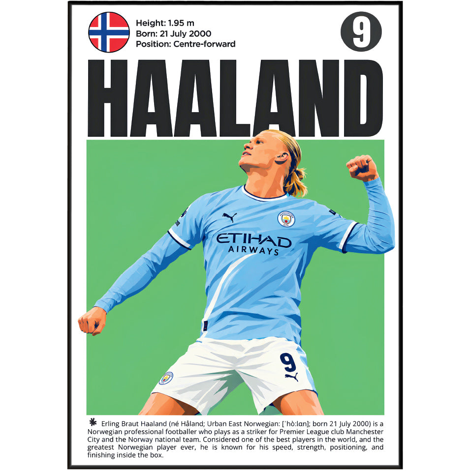 Erling Haaland Poster poster print, view 3 – 98types