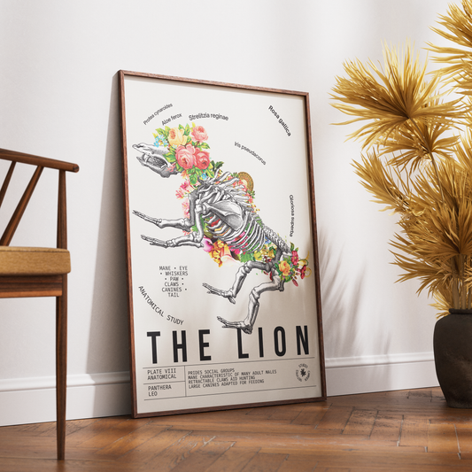 Vintage lion zoological archive print UK — Panthera leo botanical wall art 260gsm printed in England Camden Market
