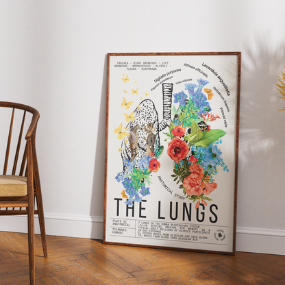 Vintage lung anatomy print UK — Pulmones Humani botanical archive dark academia wall art 260gsm printed in England
