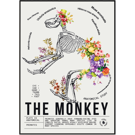 Vintage monkey natural history print UK — Primates botanical archive wall art 260gsm printed in England Camden Market
