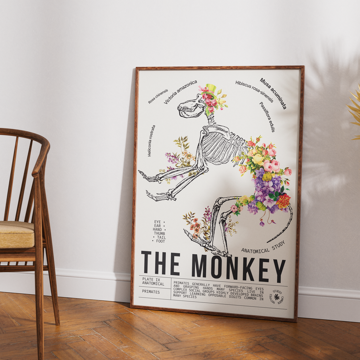 Vintage monkey natural history print UK — Primates botanical archive wall art 260gsm printed in England Camden Market
