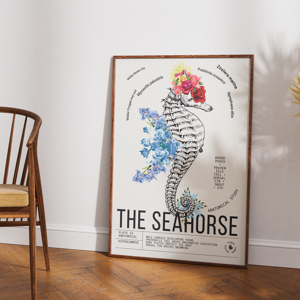 Vintage seahorse natural history print UK — Hippocampus botanical archive wall art 260gsm printed in England Camden Market
