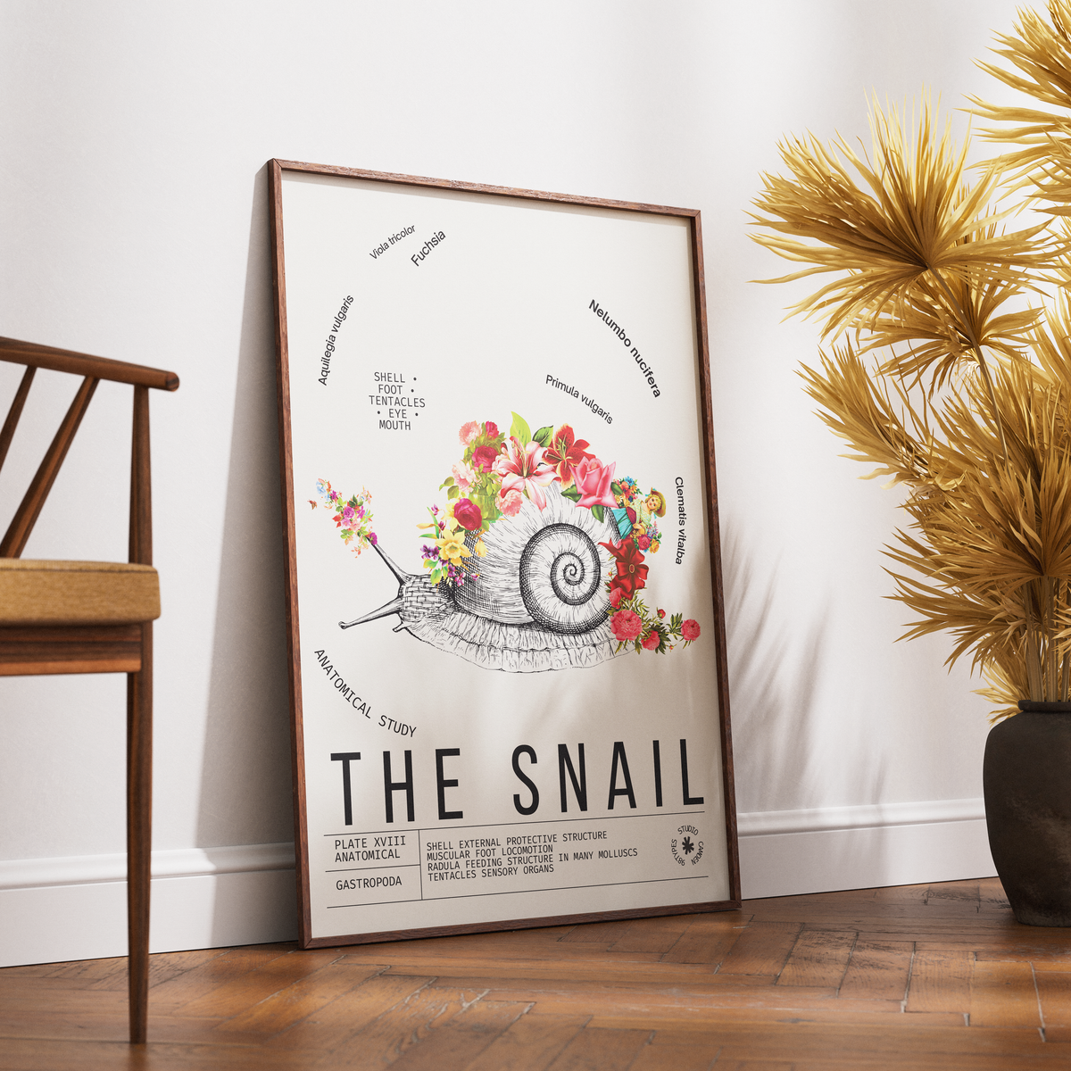 Vintage snail natural history print UK — Gastropoda botanical archive wall art 260gsm printed in England Camden Market
