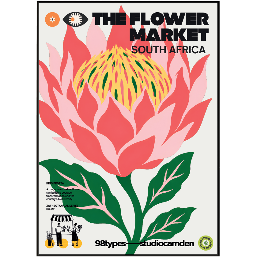 The Flower Market South Africa King Protea botanical poster print UK — national flower Cape Floristic graphic wall art 260gsm printed in England Camden Market